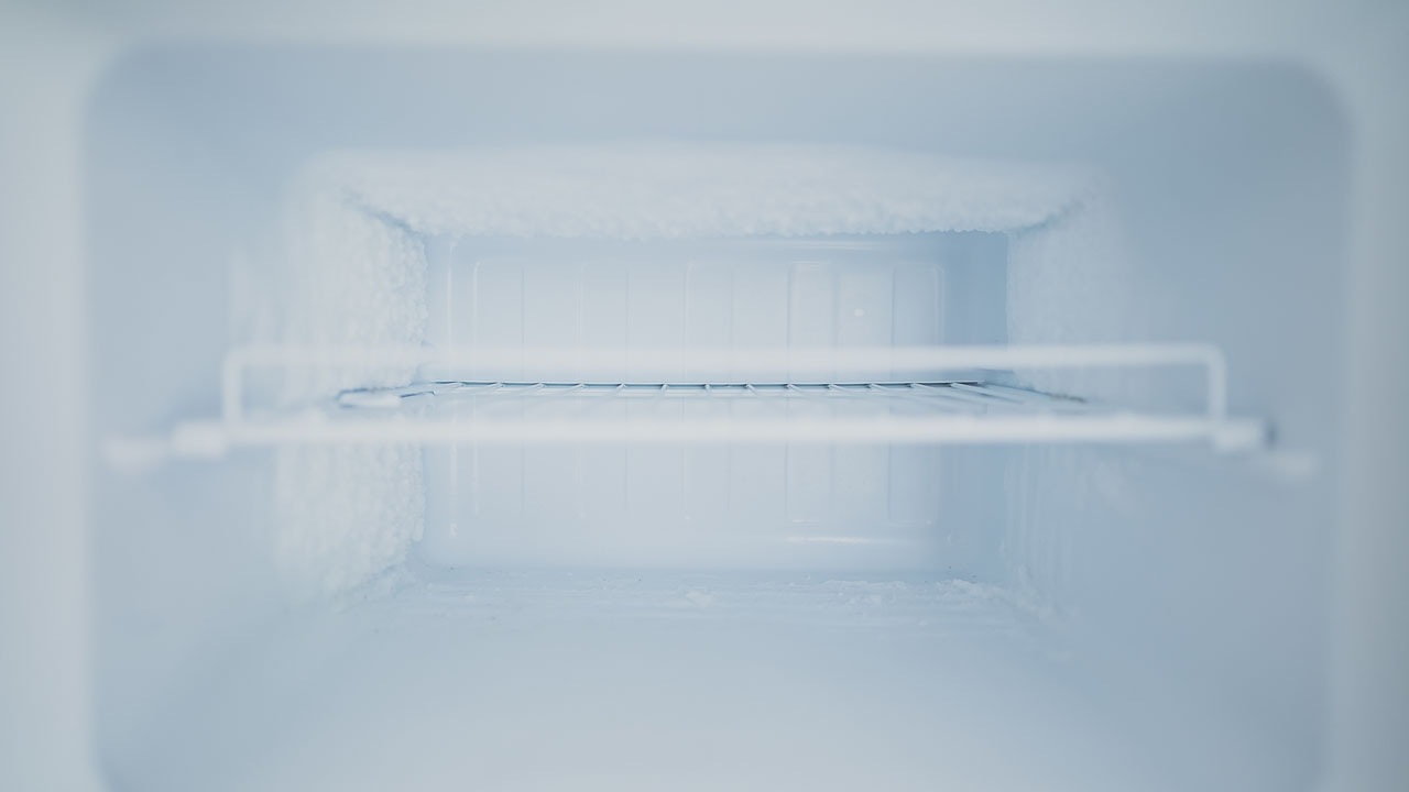 congelador